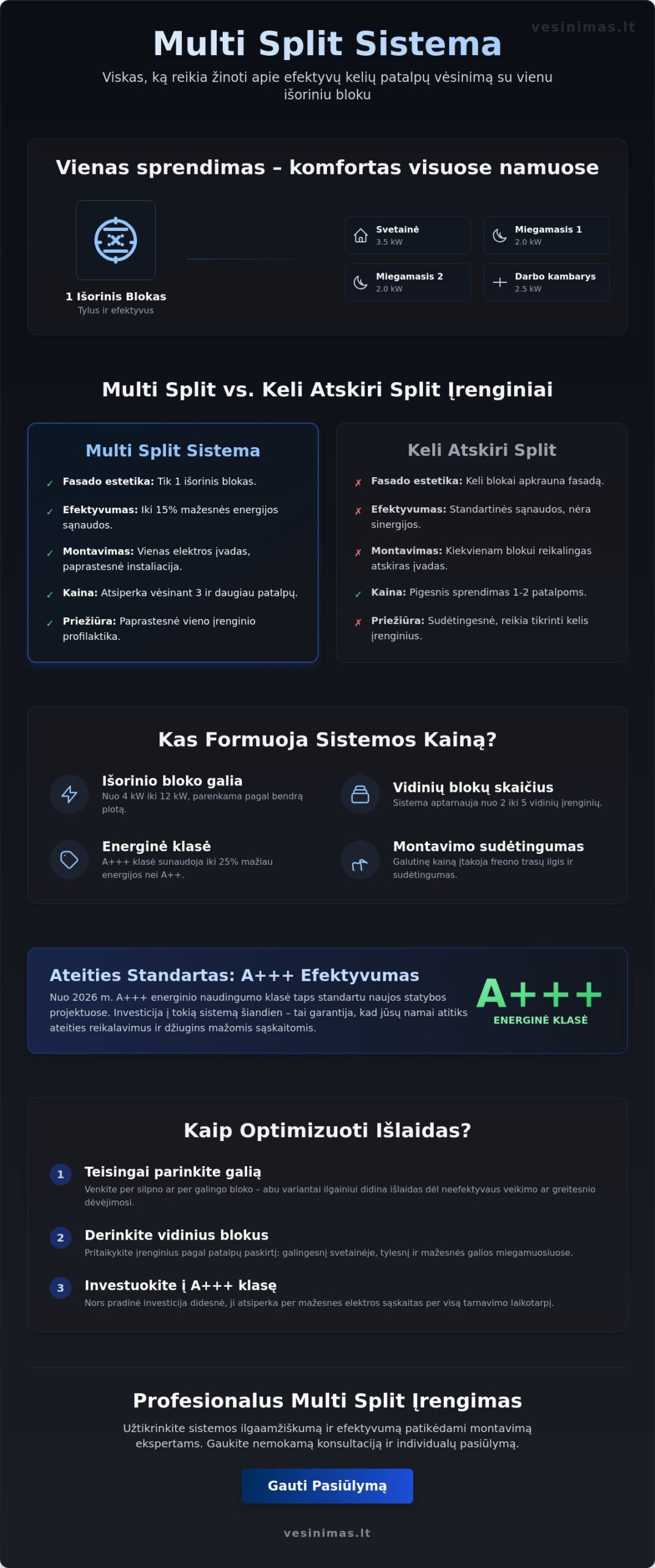 Multi split sistema: kaina, montavimo ypatumai ir 2026 m. tendencijos - Infographic