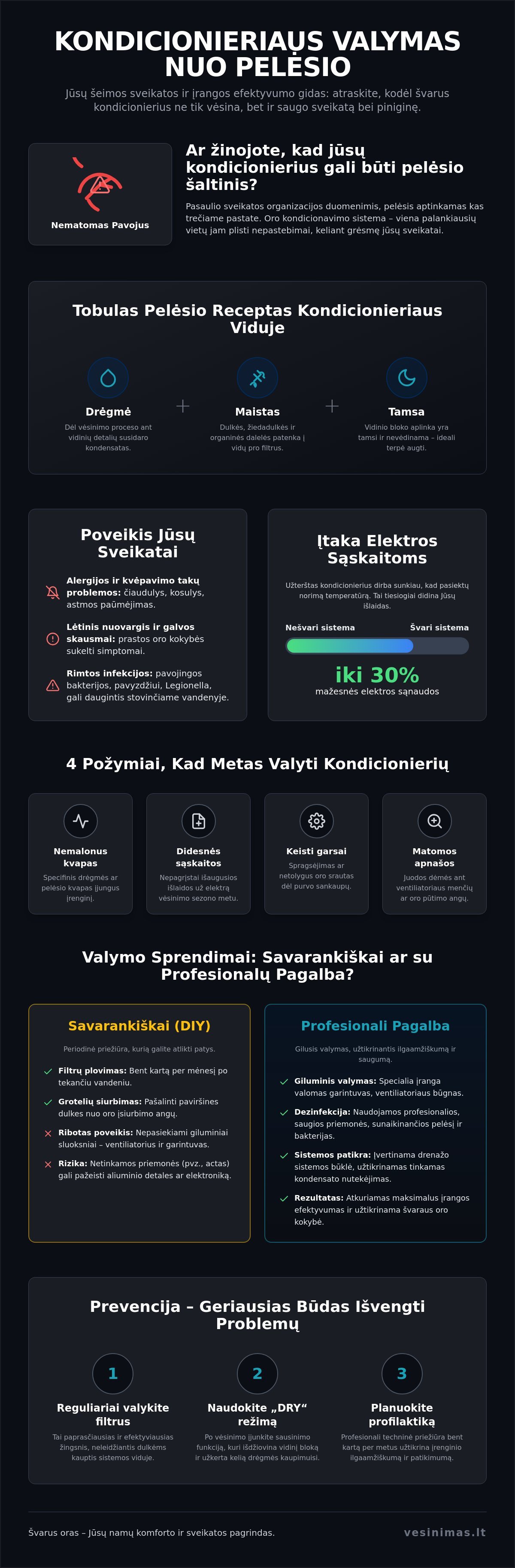 Kondicionieriaus valymas nuo pelėsio: Išsamus 2026 m. gidas sveikiems namams - Infographic